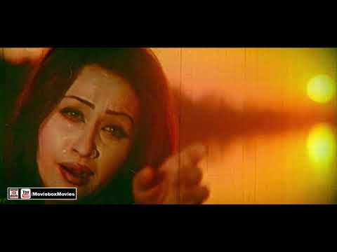 AEH DUNIYA PHERA IK WARI DA - NASEEBO LAL - NARGIS - FILM PUTTAR HAMAYUN GUJJAR DA