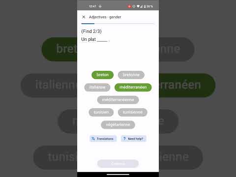 French Grammar Master Video