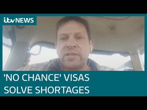 'Snowball's chance in hell': Ex-HGV driver says visas won't solve shortages by Christmas | ITV News