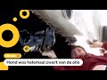 Jongen redt puppy uit olieput in Turkije