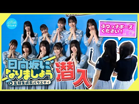【鬼ミッションも余裕？】五期生冠番組発表会見に潜入したのワシやないかい！【日向坂になりましょう】
