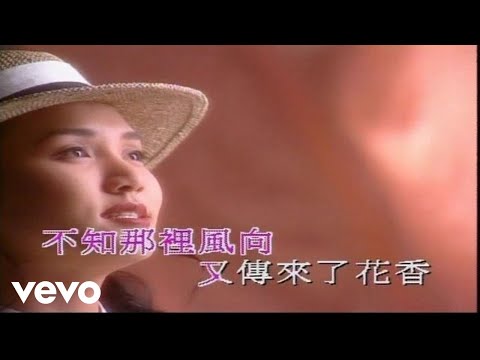Vivian Lai - 黎瑞恩 -《一人有一個夢想》MV