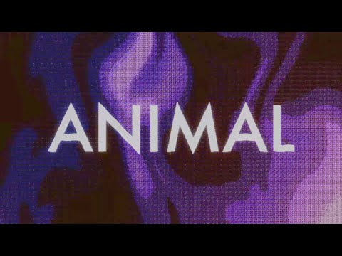 WILDE THINGS - Animal (feat. Ruely) [Lyric Video]