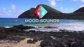 REVIVE - Inossi (Mood Sounds No Copyright Music)