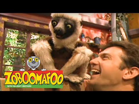 Zoboomafoo 139 - Stinky (Full Episode)