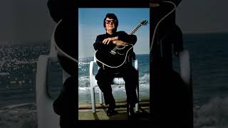 Traveling Wilburys:  Accidental Super Group.