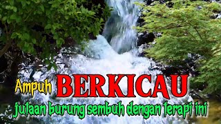 Download lagu Terapi air ampuh untuk menghilangkan stres burung kembali berkicau gacor mp3 Download lagu Terapi air ampuh untuk menghilangkan stres burung kembali berkicau gacor mp3
