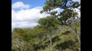 preview picture of video '1er Trail Tepotzotlán a Los Arcos del Sitio 2014'