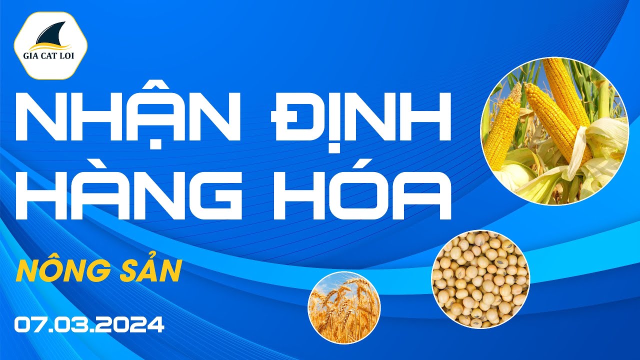 Nhận Định Thị Trường Nông Sản Ngày 07/03/2024