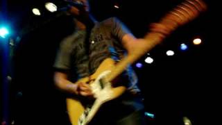 Between the trees-The forward