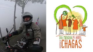 Día de la Enfermedad de Chagas