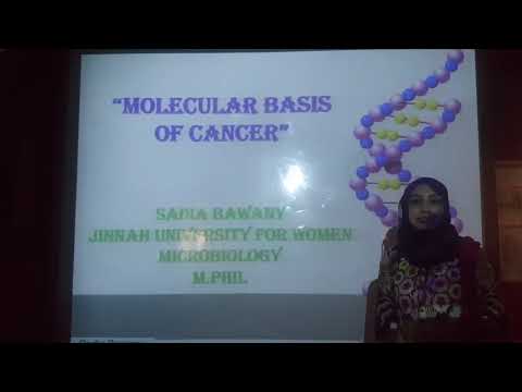 Molecular Basis Of Cancer.