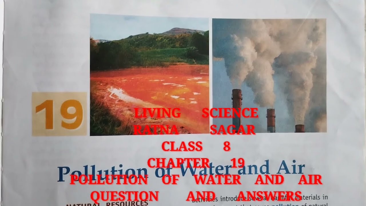 Pollution of water and air chapter 19 class 8 living science ratna sagar question and answers