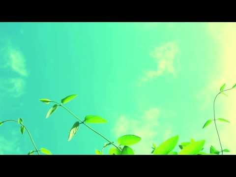 Funkerman - Falling In Love (wolfskind Feat. Saxokid Bootleg)