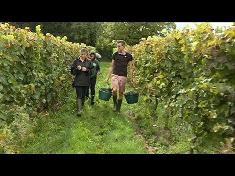 download lagu mp3 mp4 Lyce Angouleme, download lagu Lyce Angouleme gratis, unduh video klip Lyce Angouleme