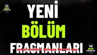 yeni maceralar yeni yolculuklar