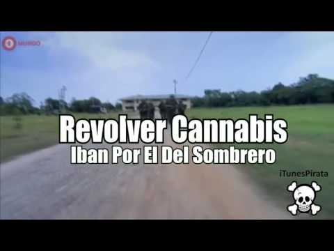 Iban Por El Del Sombrero - Revólver cannabis