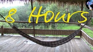 8 Hour Relaxing Nature Sounds ☮ Rain, Birds and your Hammock ☮ Sleep, Study, Meditation