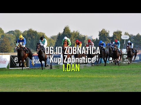 ZOBNATICA 06.10.2019 DRON 1.TRKA