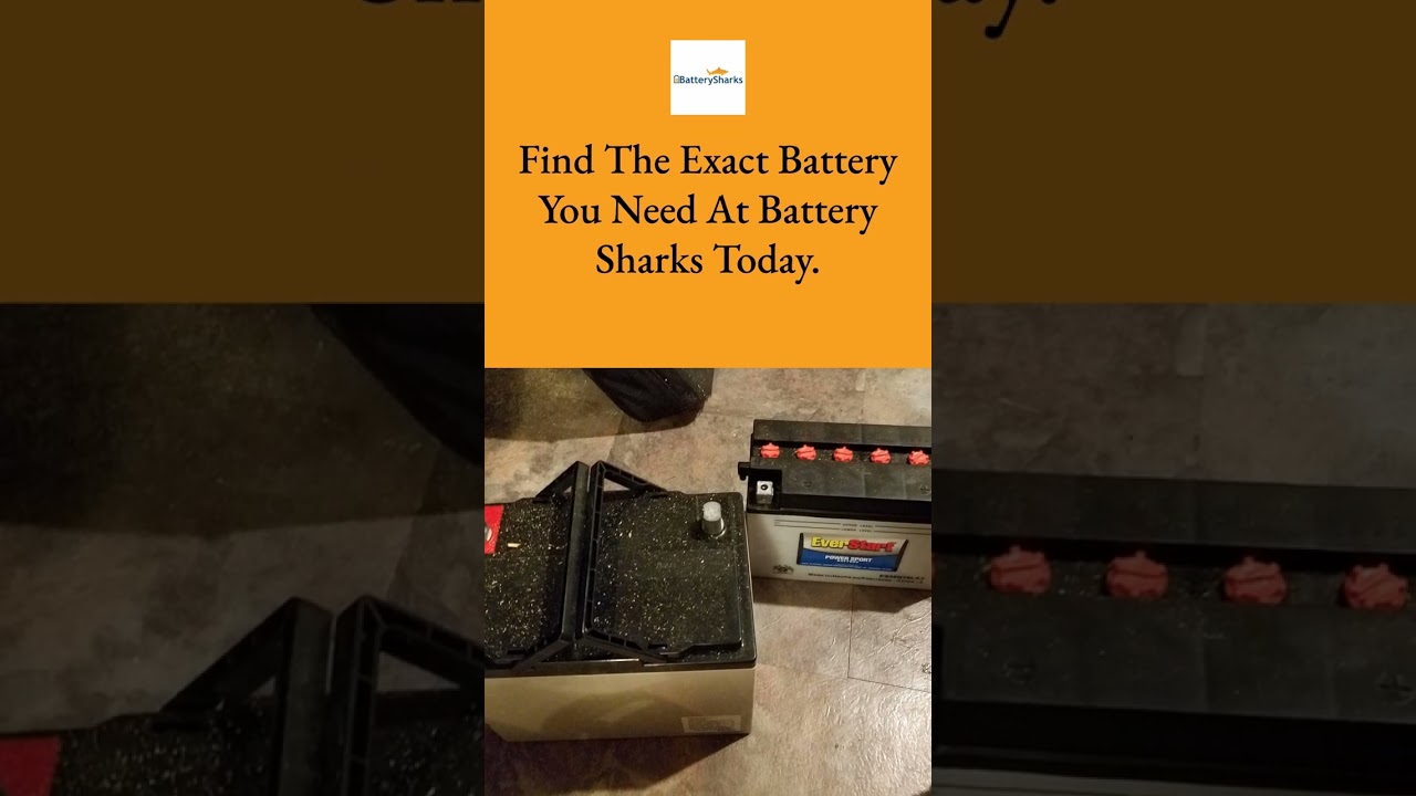 How cold is too cold for alkaline batteries? EN General