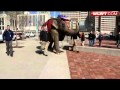Circus Entertains Reds Fans Near Ballpark