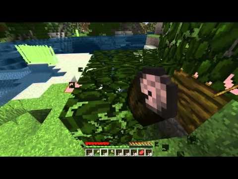 Competitive TerraFirmaCraft - EP: 2, (Day 1)