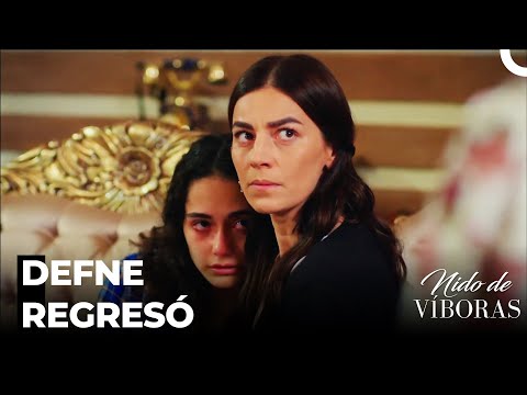 El Fin Del Incidente Del Secuestro - Nido De Víboras