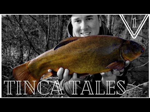 Tinca Tales - Ep 1-  Feeder Fishing for Tench
