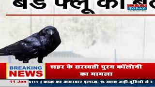 Bird Flu is dangerous and its mortality rate is about 60%: Dr. Ashutosh Sharma