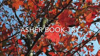 Asher book-try中英字幕