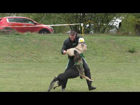 MM MSKS Zbraslav 2019 -  Zdeňka Dulovczová - Luchador Chrisn Bzenecká lipka - obrana/defense