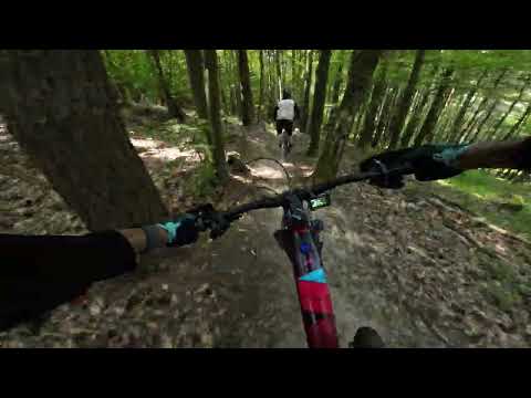 Bike Park Tromeja (SLO)