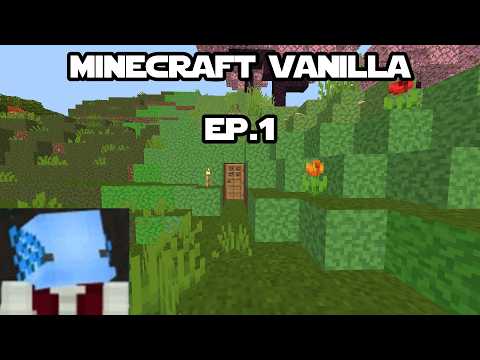 Ritorno su Minecraft (per davvero sta volta)- EP.1