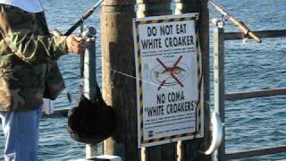 preview picture of video 'Pier Fishing Redondo Beach California'