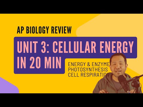 AP Biology: Unit 3 on Energetics in 20 MINUTES!