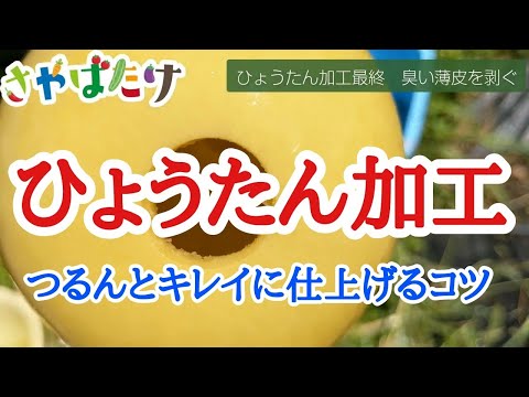 , title : 'ひょうたん栽培！つるんとキレイな表皮に仕上げるコツ'