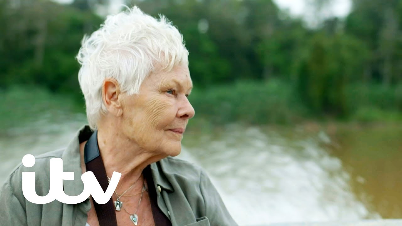 Judi Dench's Wild Borneo Adventure | This July | ITV - YouTube
