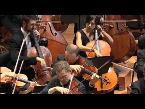 BEETHOVEN Symphony No. 9: Ode To Joy Excerpt 1 (Sydney Symphony Orchestra / Ashkenazy)