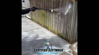 Certified Softwash- Wood Deck Softwashing