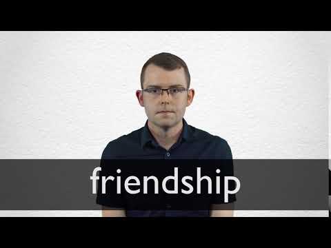 friend  Tradução de friend no Dicionário Infopédia de Inglês