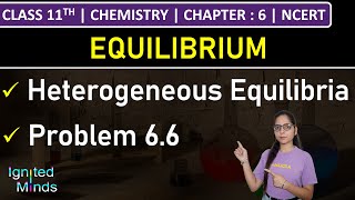 Class 11th Chemistry | Heterogeneous Equilibria | Problem 6.6 | Chapter 6: Equilibrium | NCERT