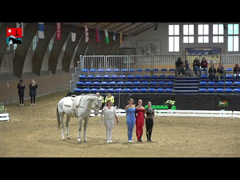 CVI Bern 2023 - Fr - National M/S Free