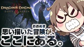 【クリア後】真のラスボスを簡単に周回する為の装備を求め、真のラスボスを周回します【ドラゴンズドグマ2 ダークアリズン】※ネタバレ注意
