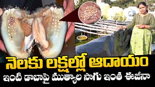 Pearl Farming At House Terrace | Women Earning Lakhs Of Money By Pearl Farming Business | NewsQube