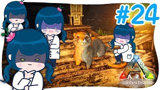【ARK】#24 初めてのペイントで自分の傲慢さを知る【アークPS4版実況】