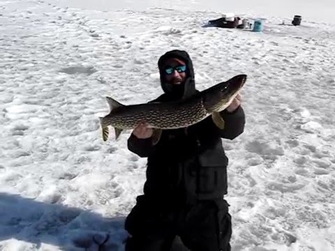 Rob's Pike 2/19/2010