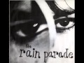 Rain Parade - What Shes Done to your Mind