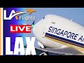 🔴LAX LIVE:  LAX Plane Spotting | December 21, 2024 | Los Angeles International Airport