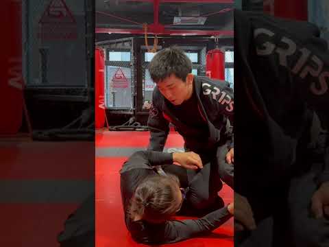 ハーフガードパス教則の概要 #grappling #オンライン教材 #格闘技 #jiujitsu #bjj #柔術