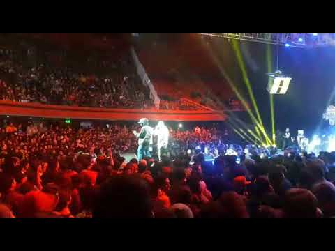 Masta Smoke vs Pepe Grillo